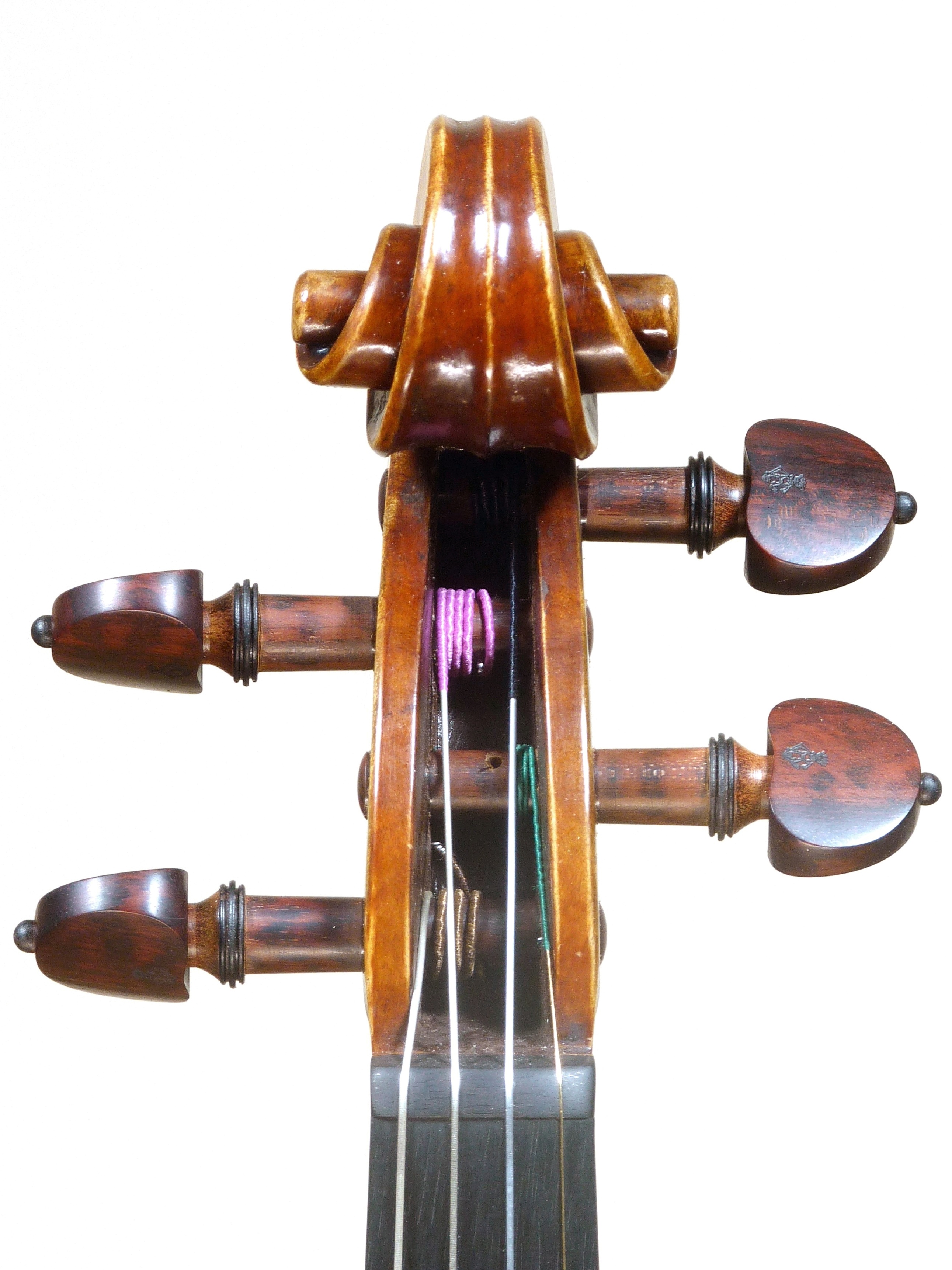 strad2012cabeçafrentered.JPG