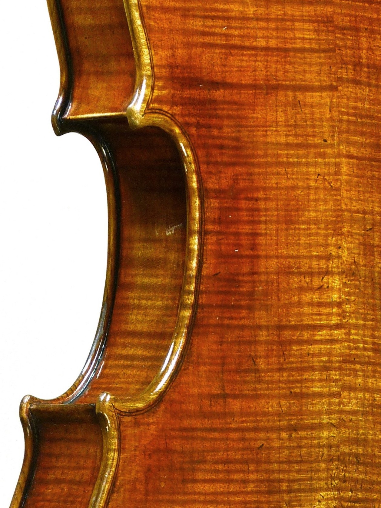 strad2012fundodiag2detalhered.jpg