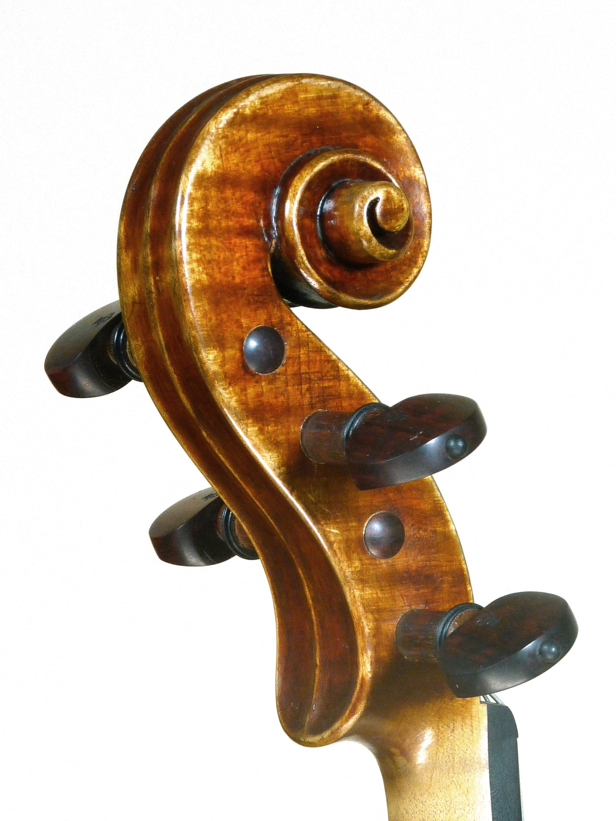 strad2012cabeçadiag2red.JPG